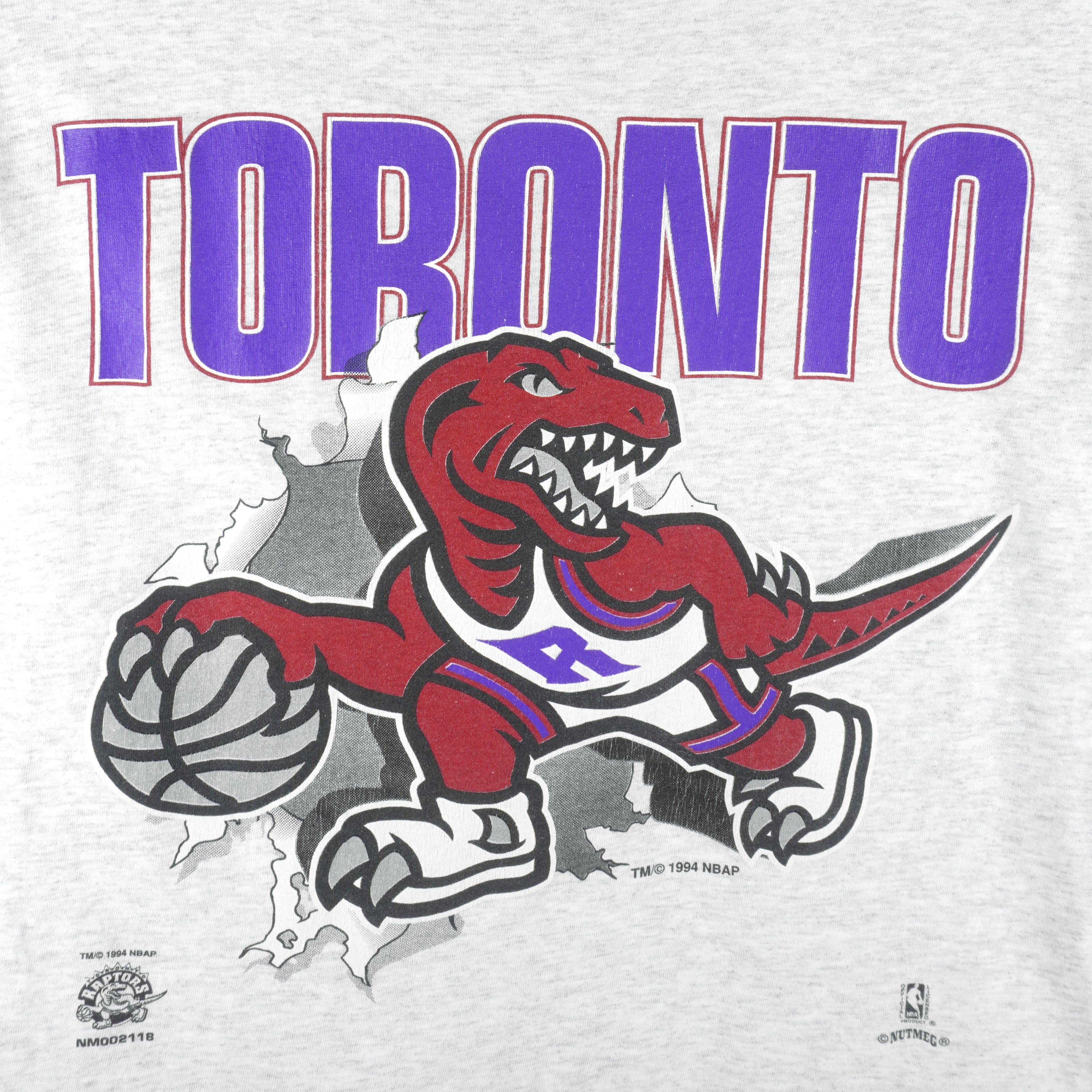 Vintage NBA (Nutmeg) - Toronto Raptors Breakout T-Shirt 1994 Medium