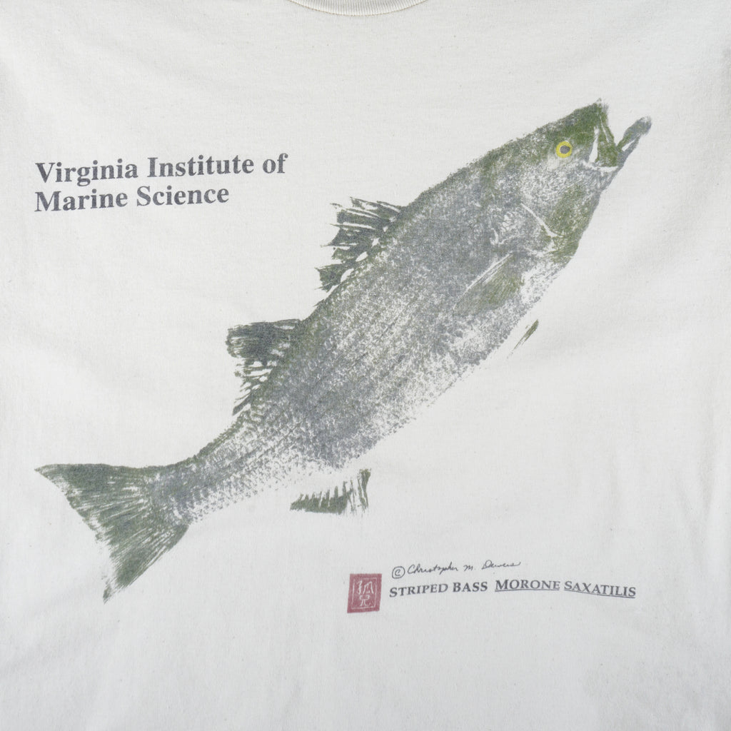 Vintage (All Sports) - Virginia Institute Of Marine Science Striped Bass T-Shirt 1990s X-Large Vintage Retro