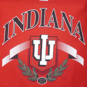 NCAA (Hanes) - Indiana Hoosiers Crew Neck Sweatshirt 1990s Medium Vintage Retro Football College
