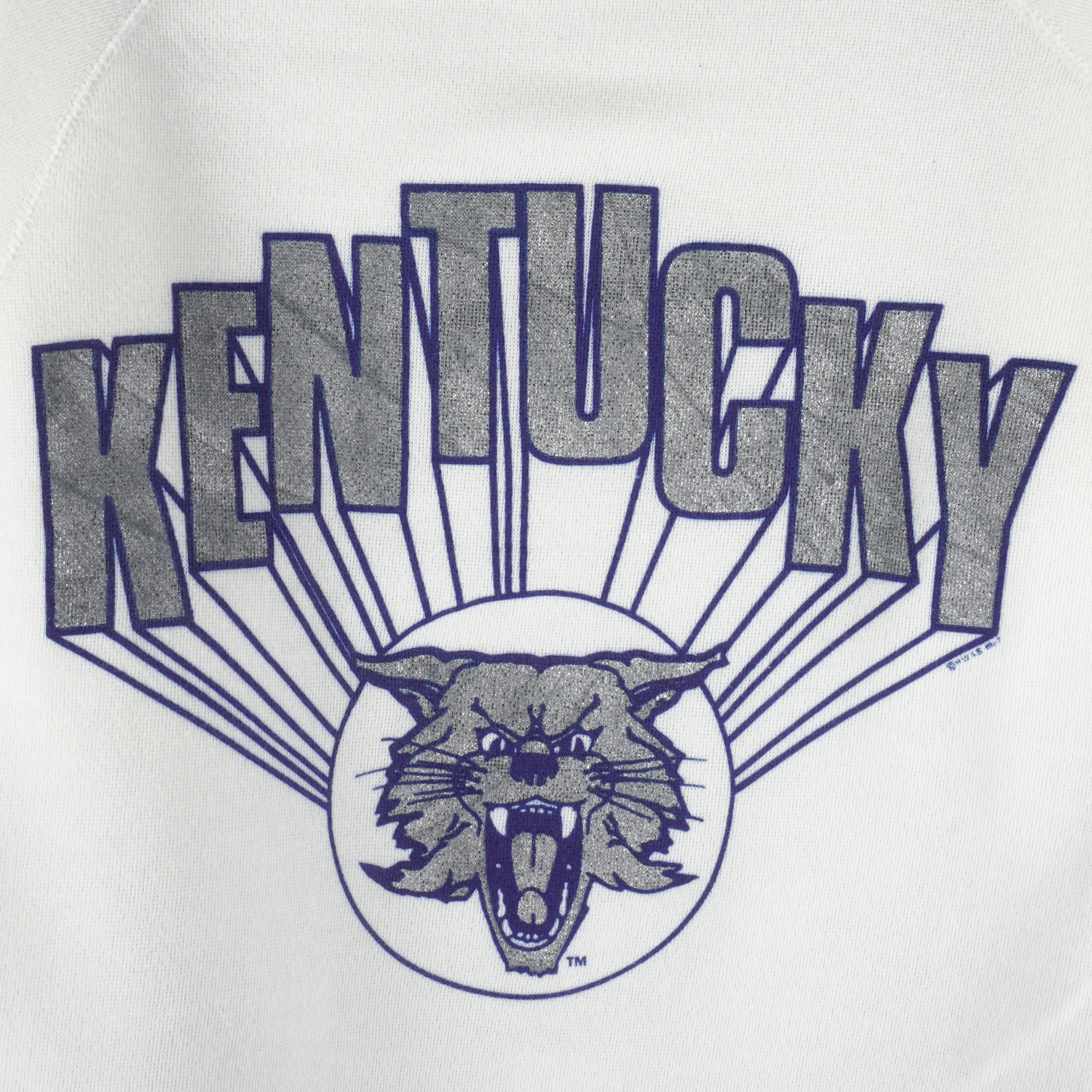 NCAA (Wolf) - Kentucky Wildcats Crew Neck Sweatshirt 1990s Medium Vintage Retro Football College