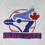 MLB - Toronto Blue Jays Big Logo Embroidered T-Shirt 1990s Large Vintage Retro Baseball