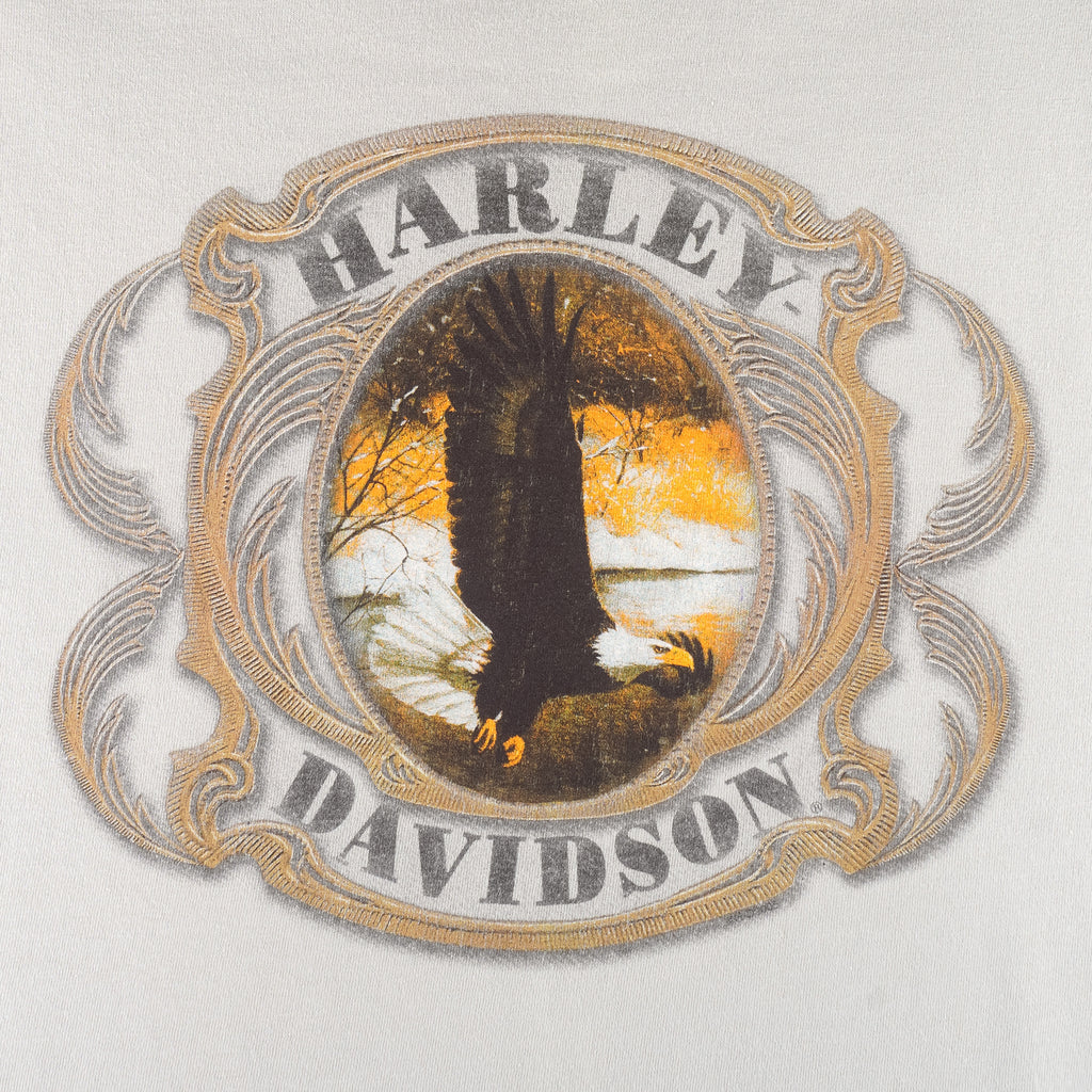 Harley Davidson - Eagle Delaware T-Shirt 2005 X-Large Vintage Retro