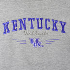 NCAA (Hanes) - Kentucky Wildcats Sweatshirt 1990s XX-Large Vintage Retro College