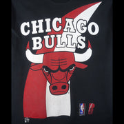 NBA (Pro Player) - Chicago Bulls T-Shirt 1990s X-Large Vintage Retro Basketball