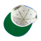 NHL (Zephyr) - Quebec Nordiques 3D Puff Snapback Hat 1990s OSFA Vintage Retro Hockey