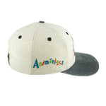 Vintage (Logo 7) - Animaniacs Embroidered Snapback Hat 1990s OSFA Vintage Retro