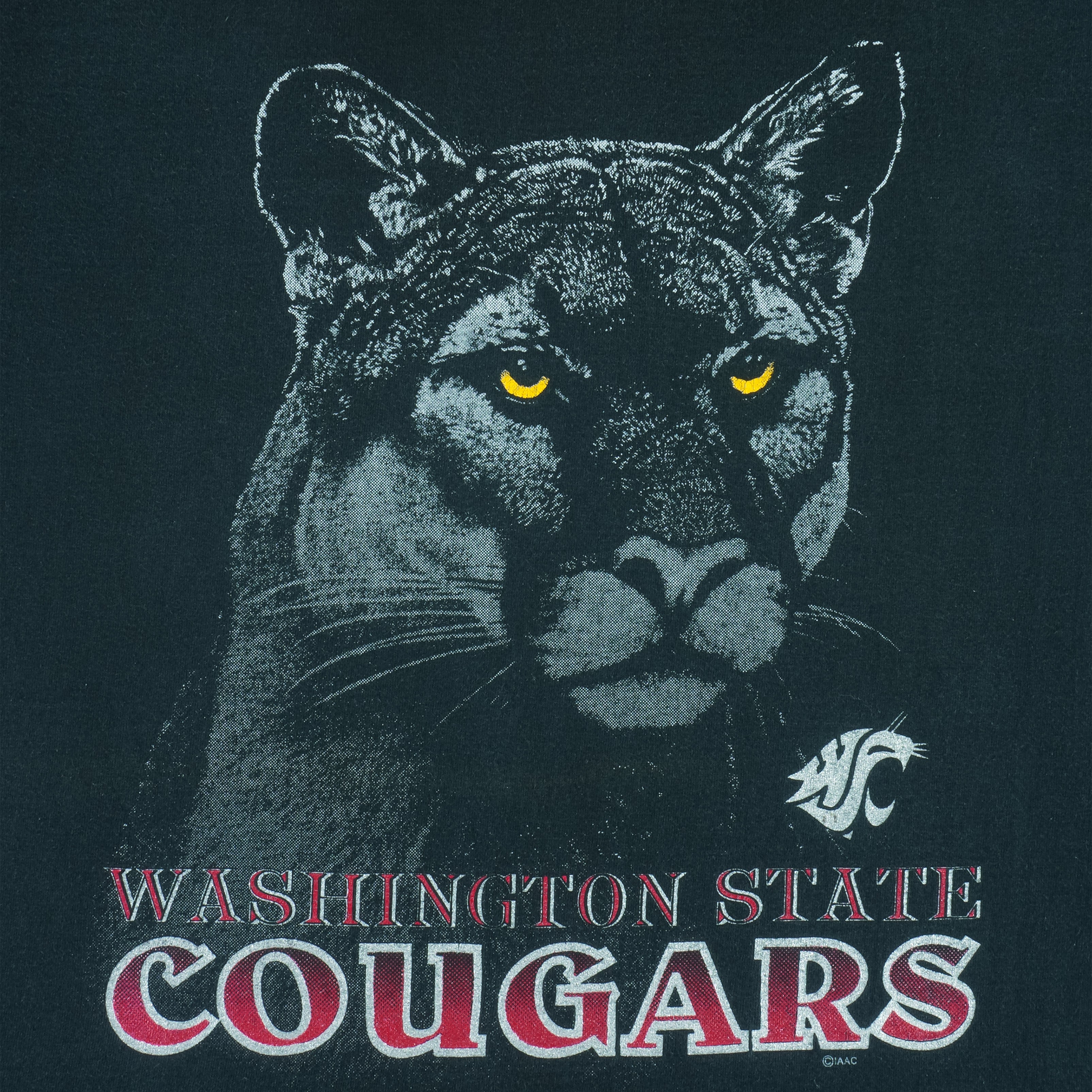 NCAA (Jerzees) - Washington State Cougars T-Shirt 1990s Large
