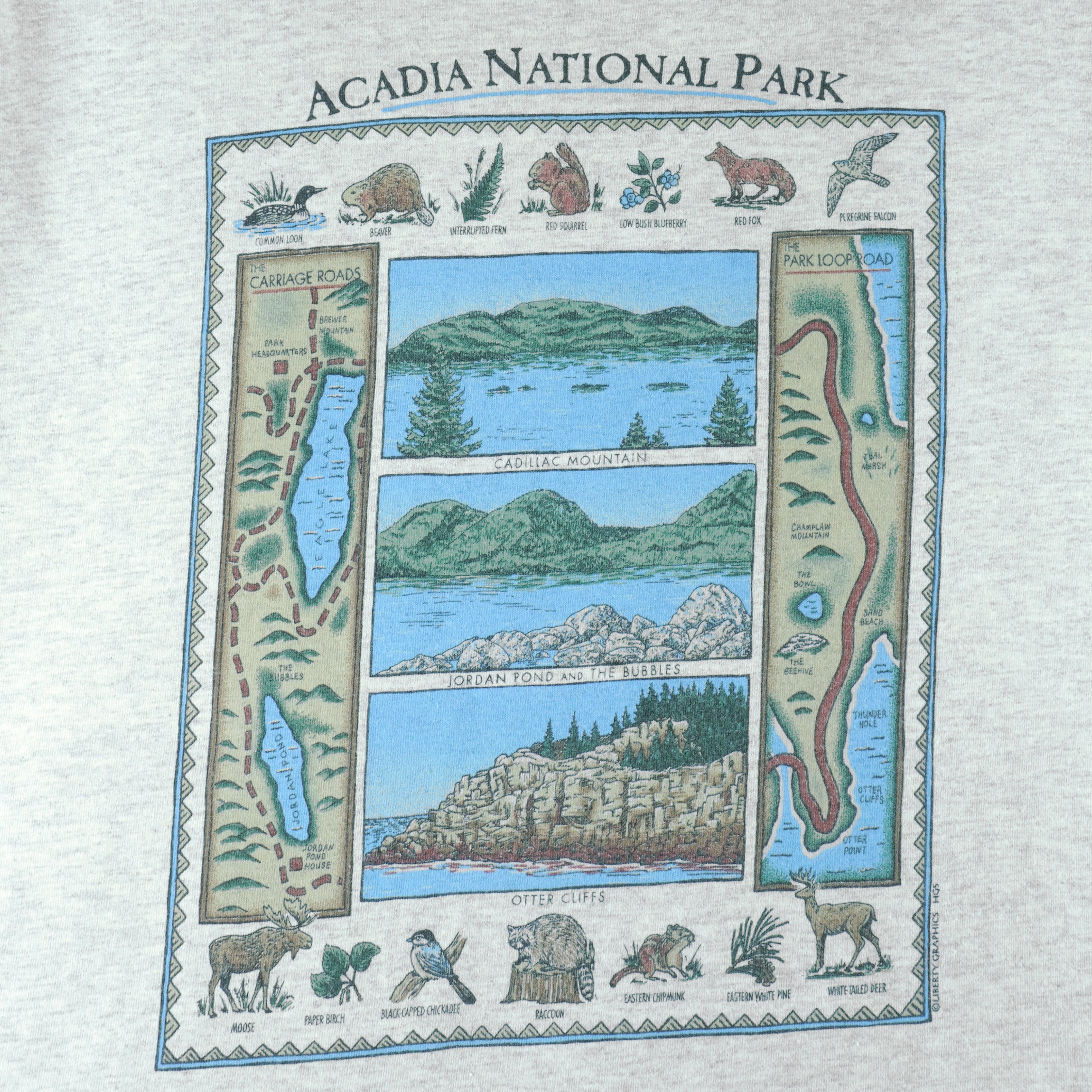 Vintage (Alore) - Acadia National Park Map T-Shirt 1990s Large