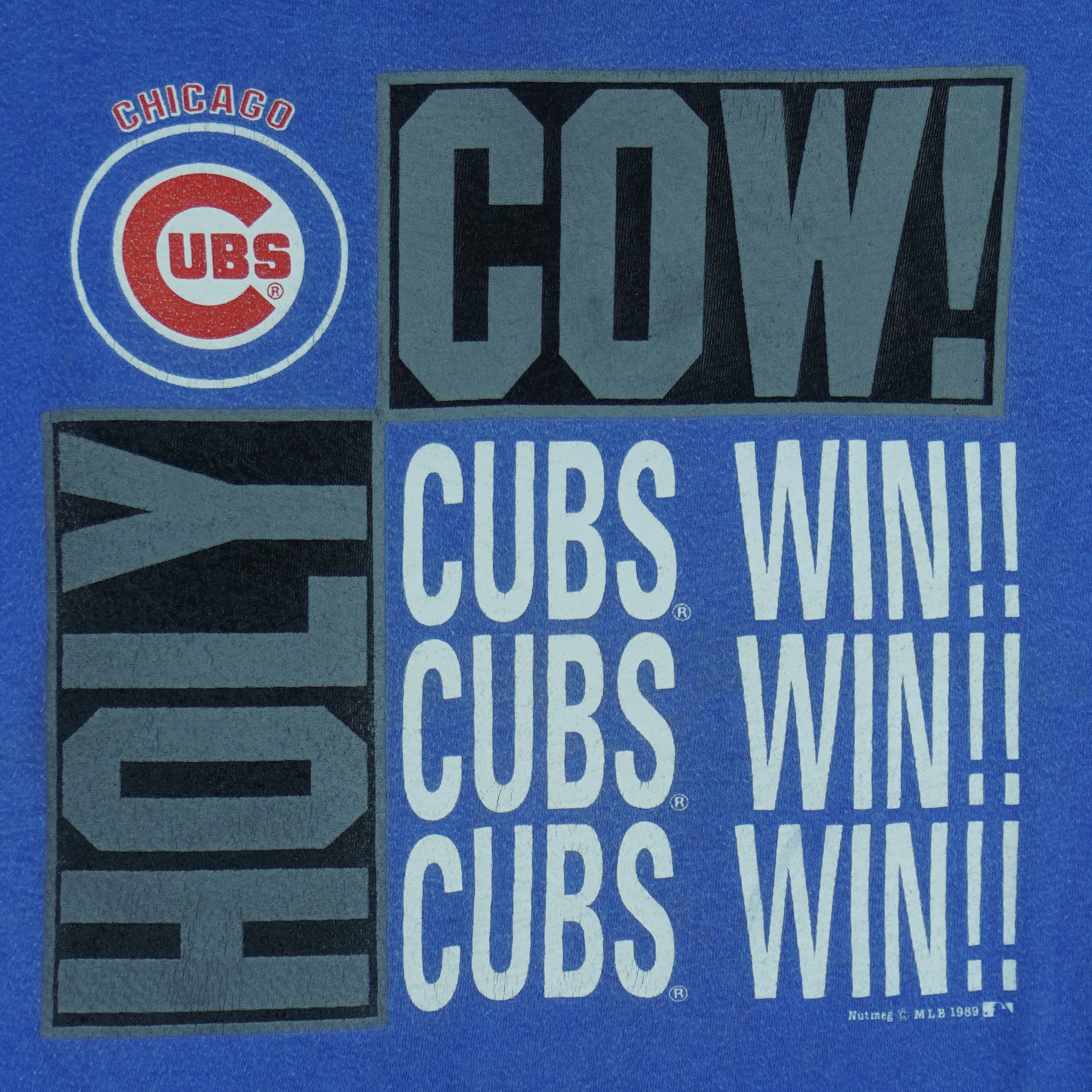 MLB (Nutmeg) - Chicago Cubs Win Single Stitch T-Shirt 1989 Medium Vintage Retro Baseball