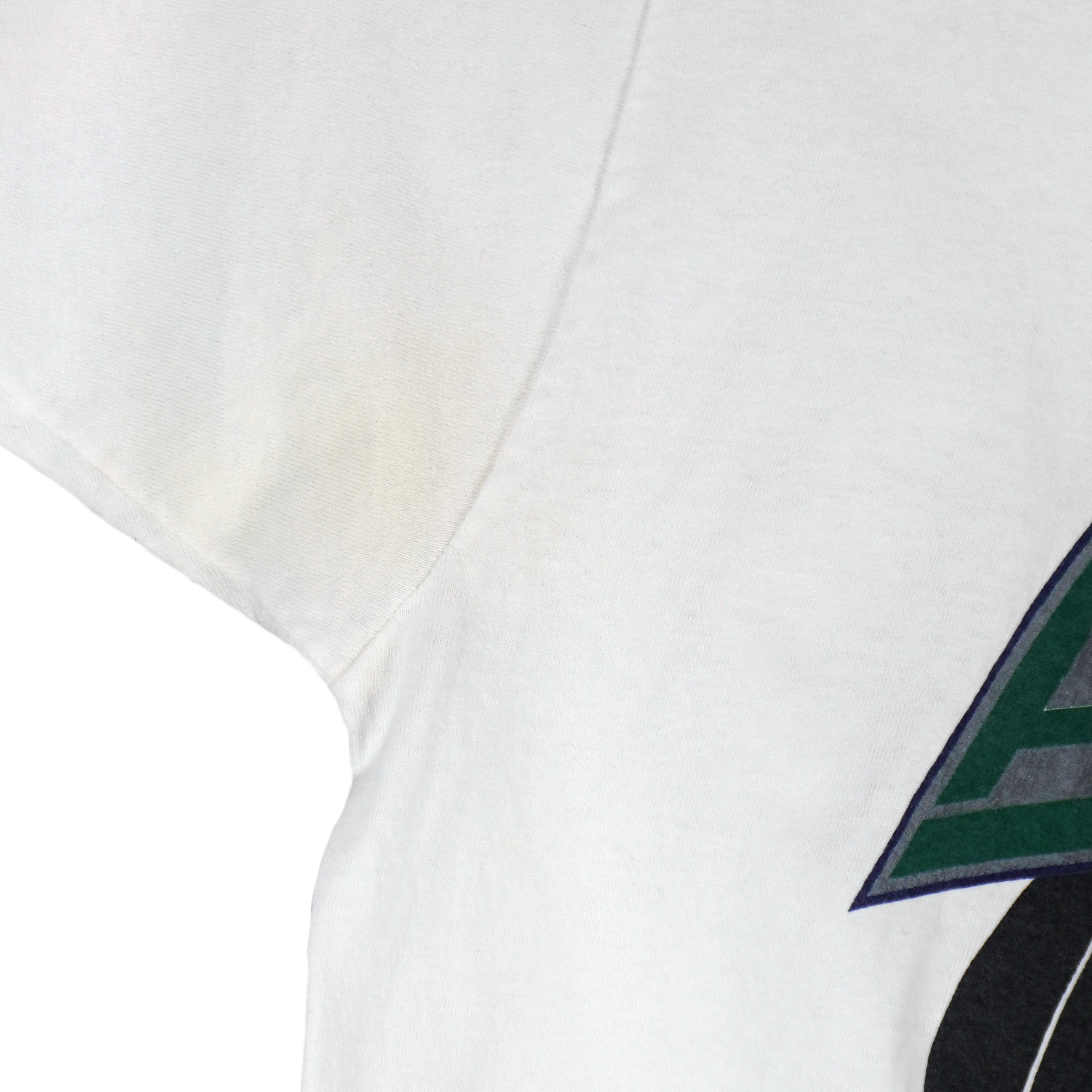 NHL (Fruit Of The Loom) - IHL Houston Aeros T-Shirt 1990s X-Large Vintage Retro Hockey