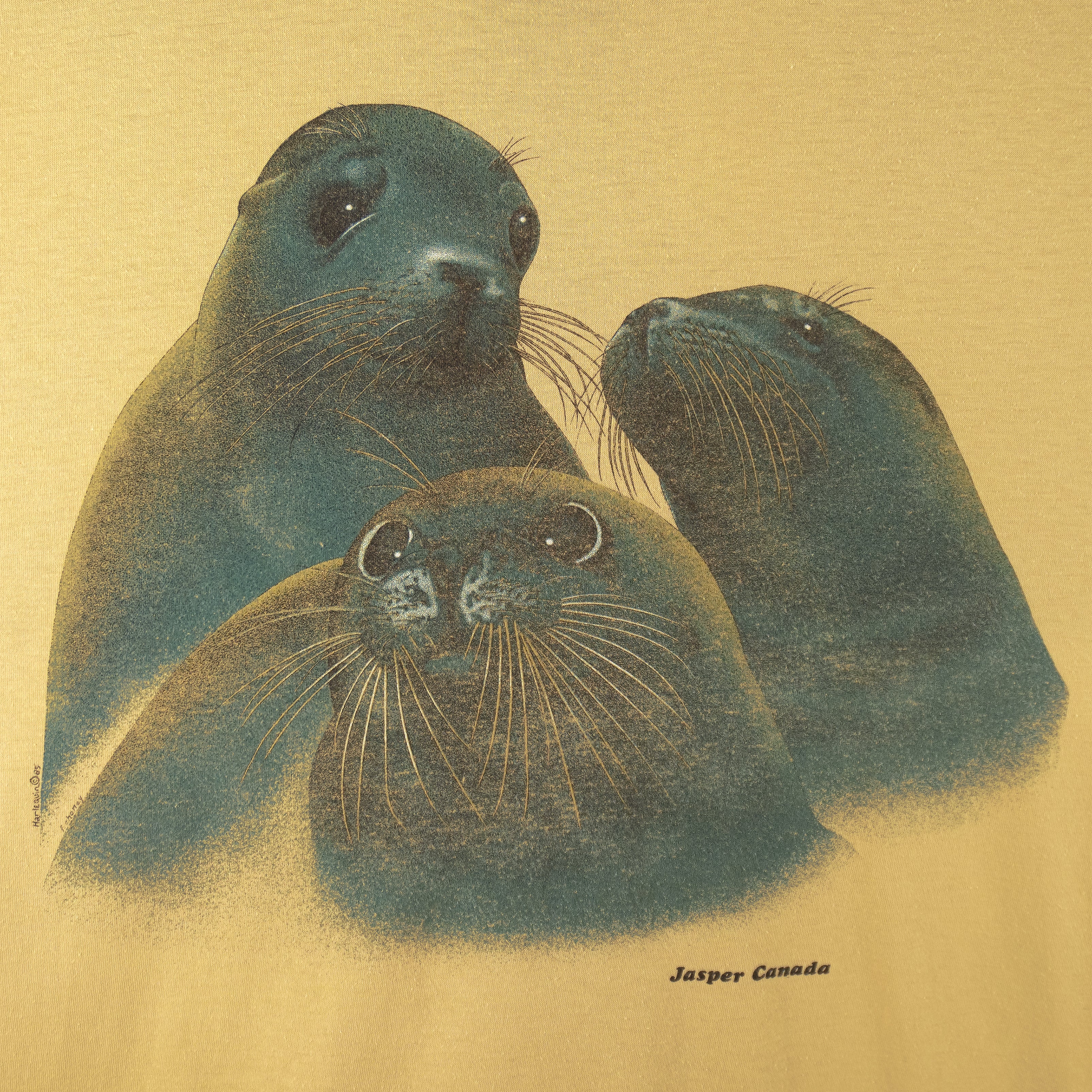 Vintage (Ricco) - Jasper Canada Seals T-Shirt 1985 X-Large Vintage Retro