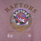 NBA (Waves) - Toronto Raptors Basketball T-Shirt 1995 Large Vintage Retro Basketball