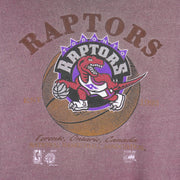NBA (Waves) - Toronto Raptors Basketball T-Shirt 1995 Large Vintage Retro Basketball