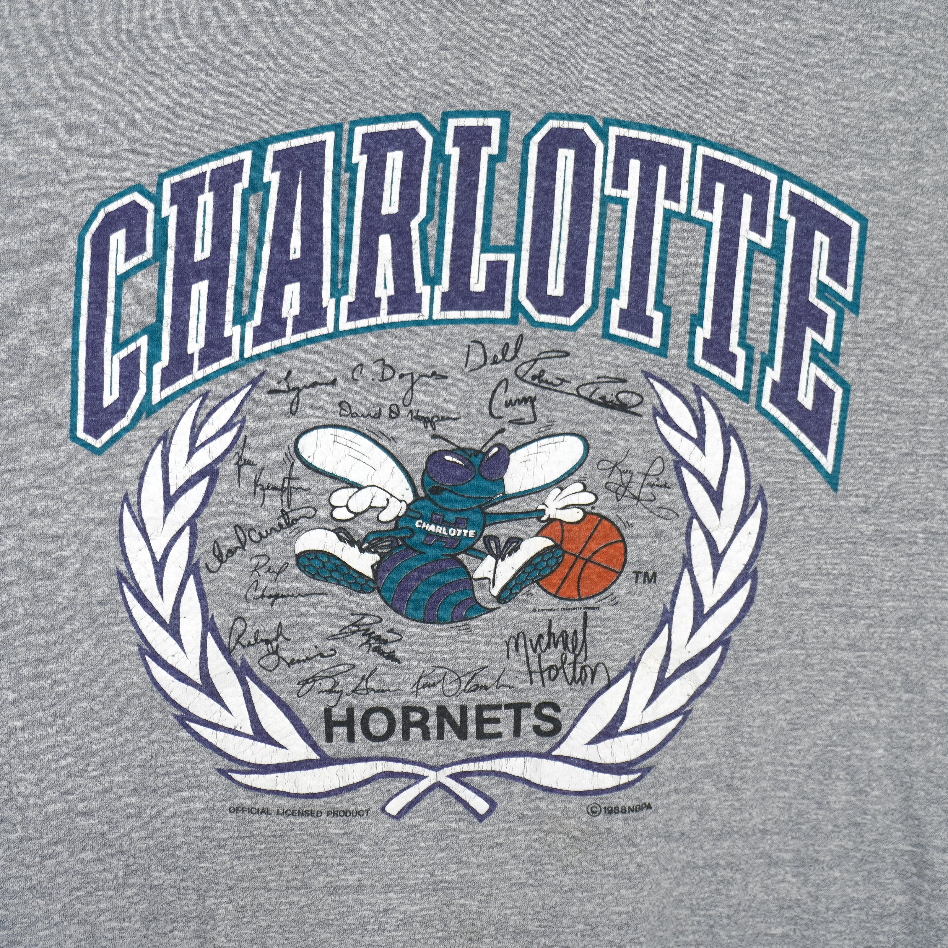NBA (Super Shirts) - Charlotte Hornets Big Logo T-Shirt 1988 Large Vintage Retro Basketball