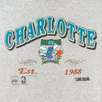 NBA (Trench) - Grey Charlotte Hornets Pinstripes T-Shirt 1992 X-Large Vintage Retro Basketball