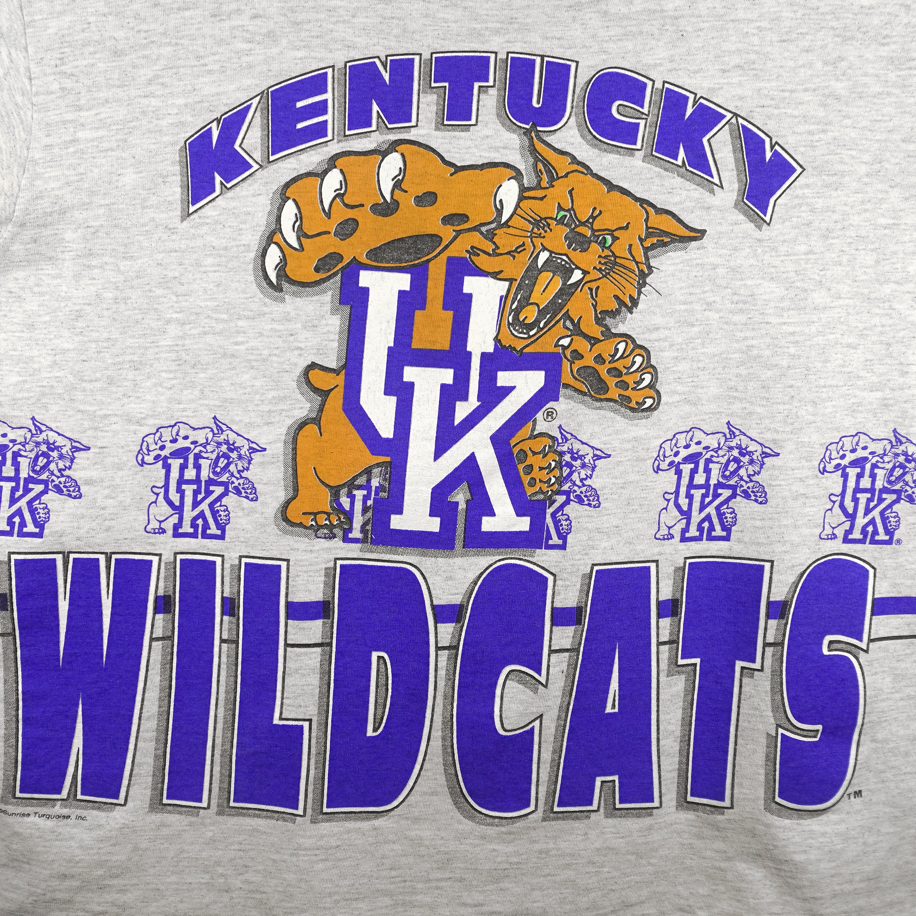 NCAA (Center Cut) - Kentucky Wildcats Big Logo T-Shirt 1990s Large Vintage Retro