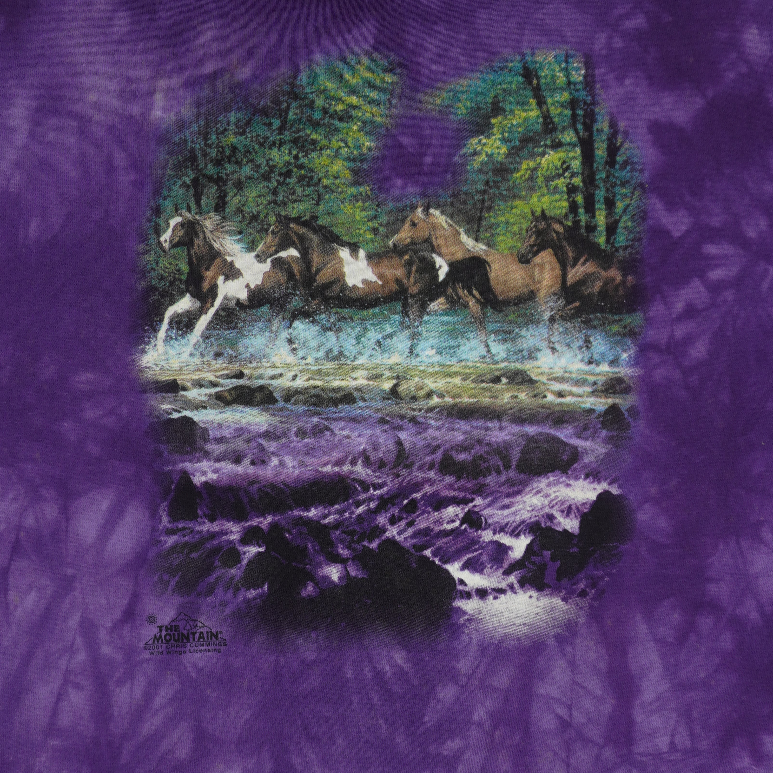 Vintage (The Mountain) - Horses Montana Tie Dye T-Shirt 2001 X-Large Vintage Retro