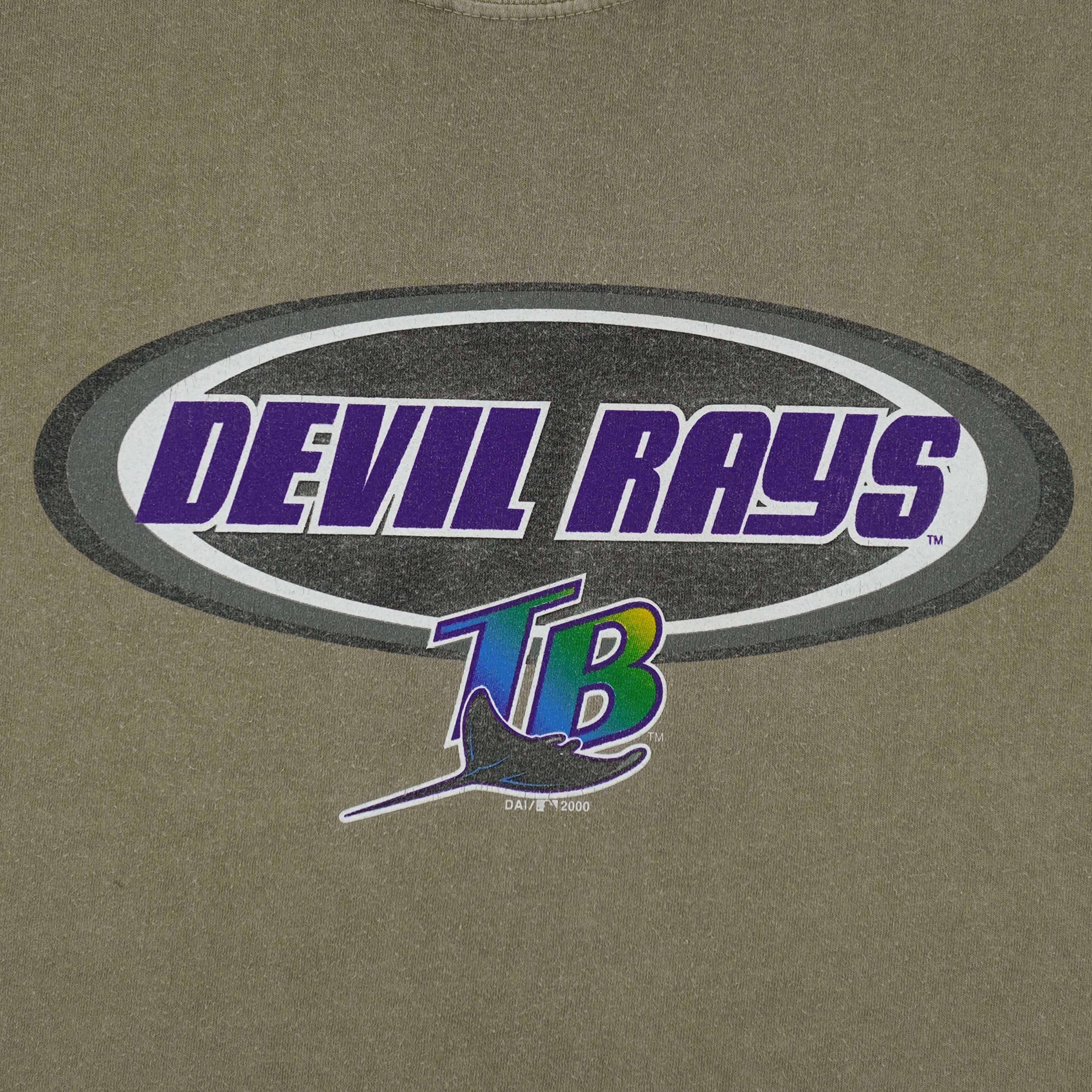MLB (Dynasty) - Tampa Bay Devil Rays T-Shirt 2000 Large Vintage Retro Baseball