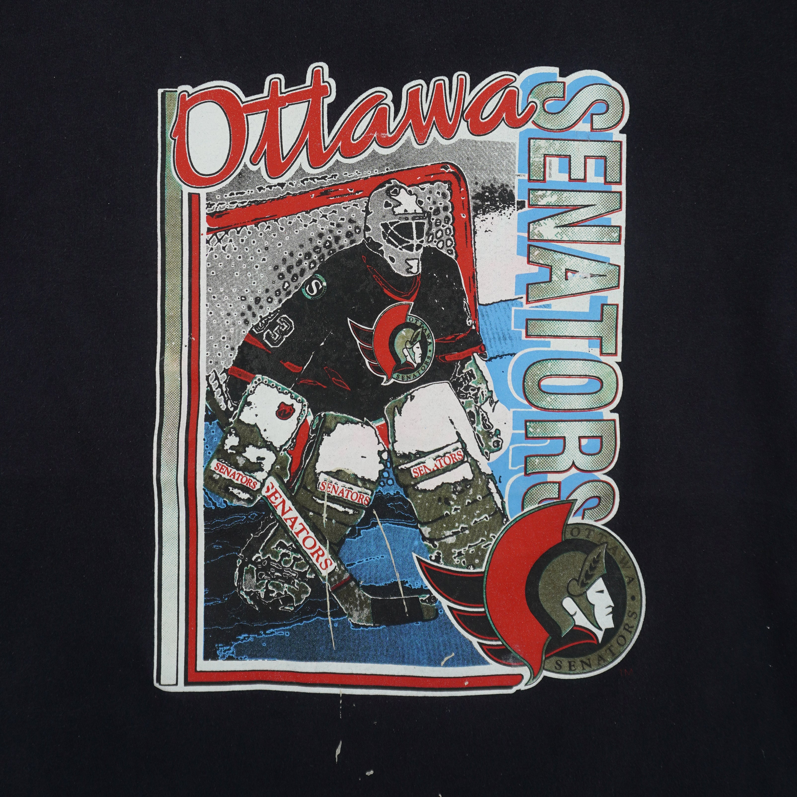 NHL (Ottawa) - Ottawa Senators, Stanley Cup T-Shirt 1990s Large Vintage Retro Hockey