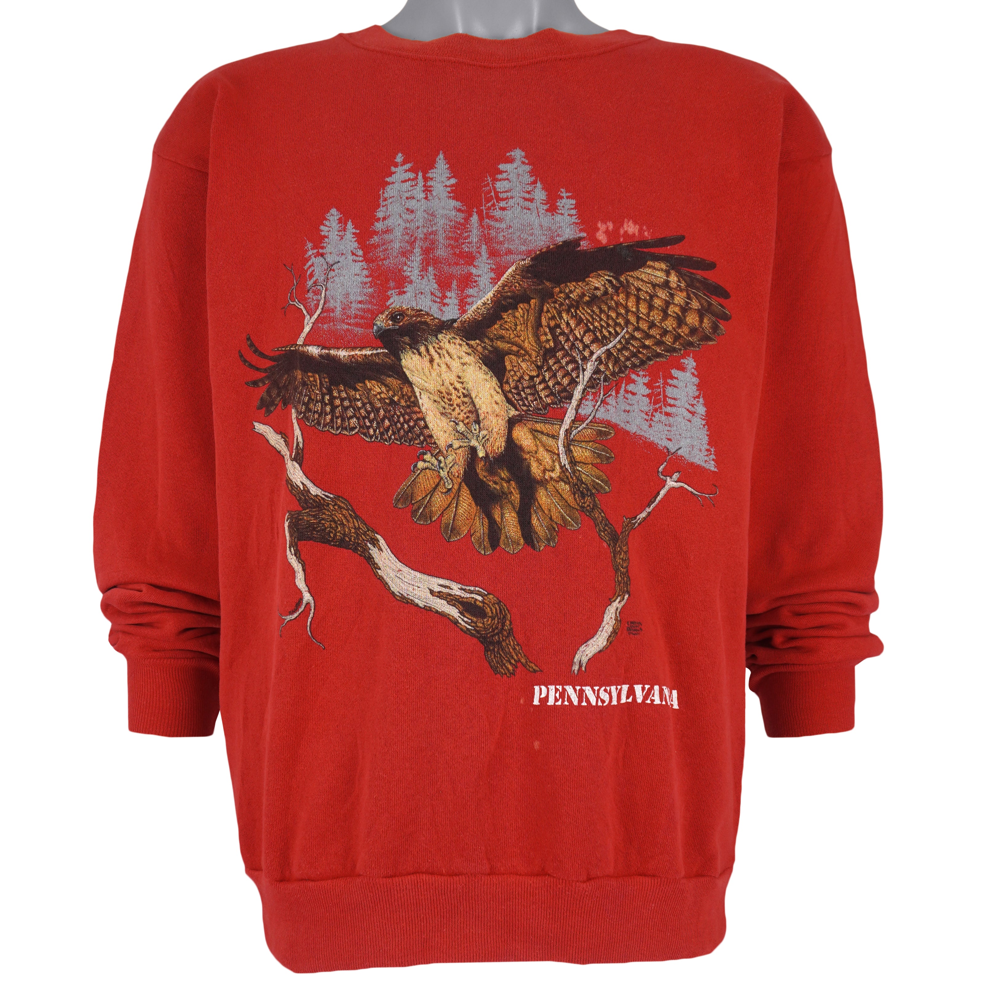 Vintage (Tultex) - Hawk Pennsylvania Sweatshirt 1990s Large Vintage Retro