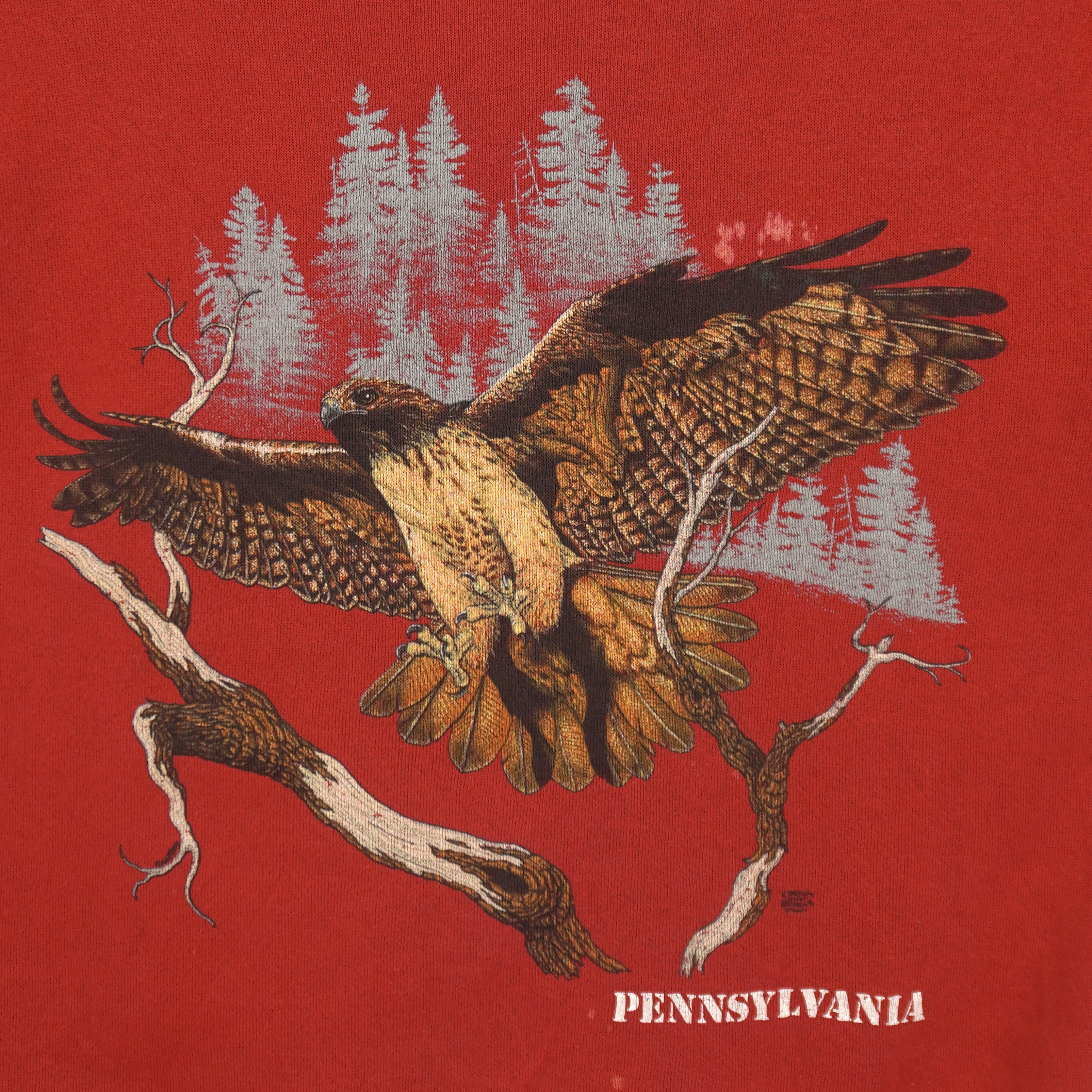 Vintage (Tultex) - Hawk Pennsylvania Sweatshirt 1990s Large Vintage Retro