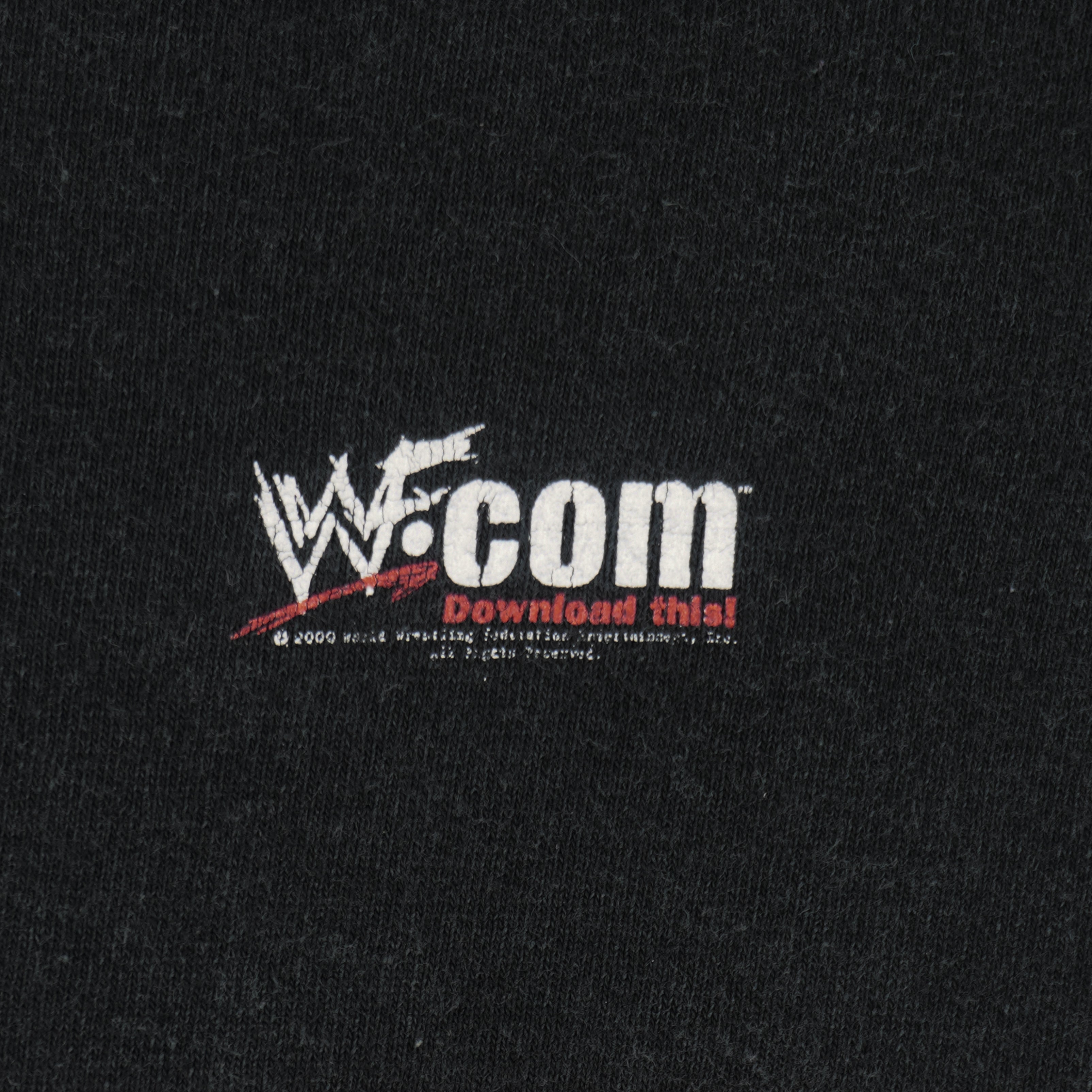 Vintage (Anvil) - Jerichoholic Chris Jericho WWF T-Shirt 2000s Medium Vintage Retro
