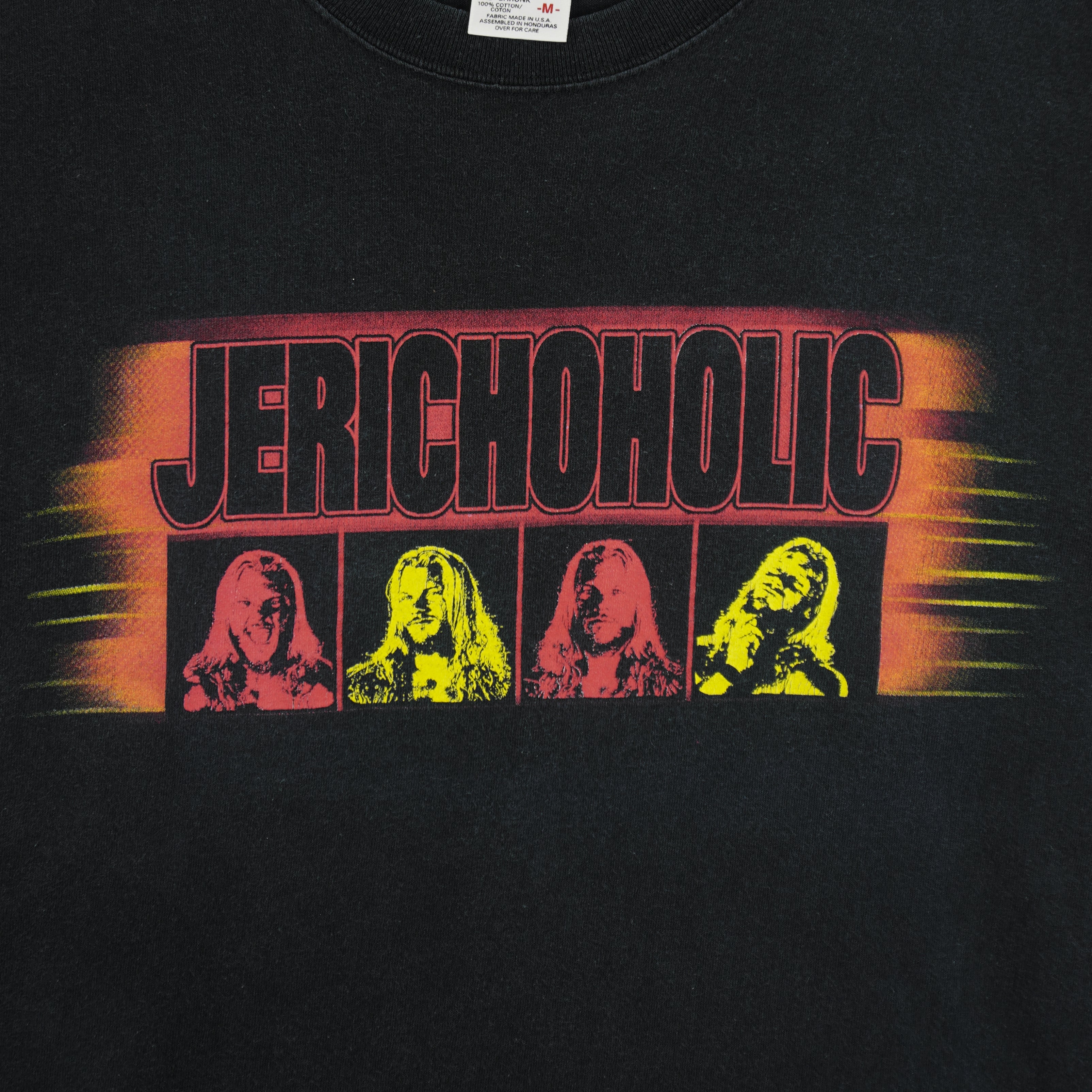 Vintage (Anvil) - Jerichoholic Chris Jericho WWF T-Shirt 2000s Medium Vintage Retro