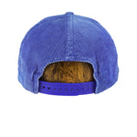 NBA (Twins) - Blue Minnesota Timberwolves Snapback Hat 1990s OSFA Vintage Retro Basketball