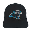NFL (Image) - Carolina Panthers Big Logo Snapback Hat 1990s OSFA Vintage Retro Football