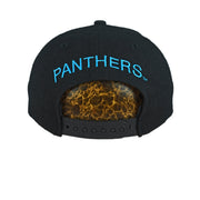 NFL (Image) - Carolina Panthers Big Logo Snapback Hat 1990s OSFA Vintage Retro Football