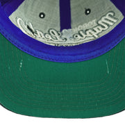 Starter (NHL) - Toronto Maple Leafs Norris Division Snapback Hat 1993 OSFA Vintage Retro Hockey
