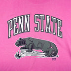 NCAA (20 Sport) - The Penn State University Nittany Lions T-Shirt 1990s Large Vintage Retro