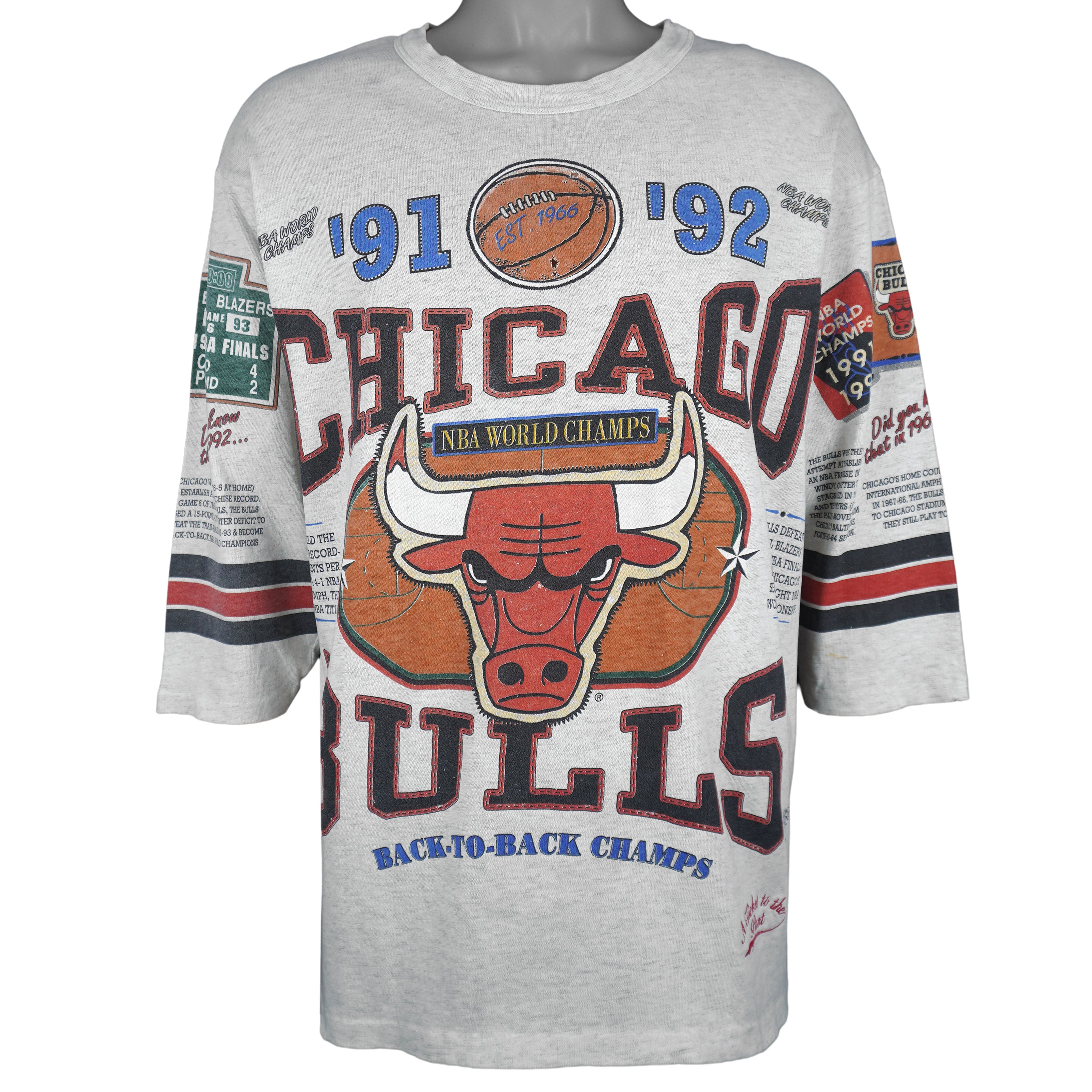 NBA (Long Gone) - Chicago Bulls NBA World Champions T-Shirt 1993 Large Vintage Retro Basketball