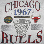 NBA (Long Gone) - Chicago Bulls NBA World Champions T-Shirt 1993 Large Vintage Retro Basketball