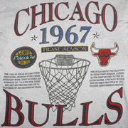 NBA (Long Gone) - Chicago Bulls NBA World Champions T-Shirt 1993 Large Vintage Retro Basketball