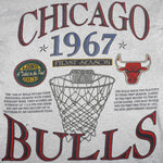 NBA (Long Gone) - Chicago Bulls NBA World Champions T-Shirt 1993 Large Vintage Retro Basketball