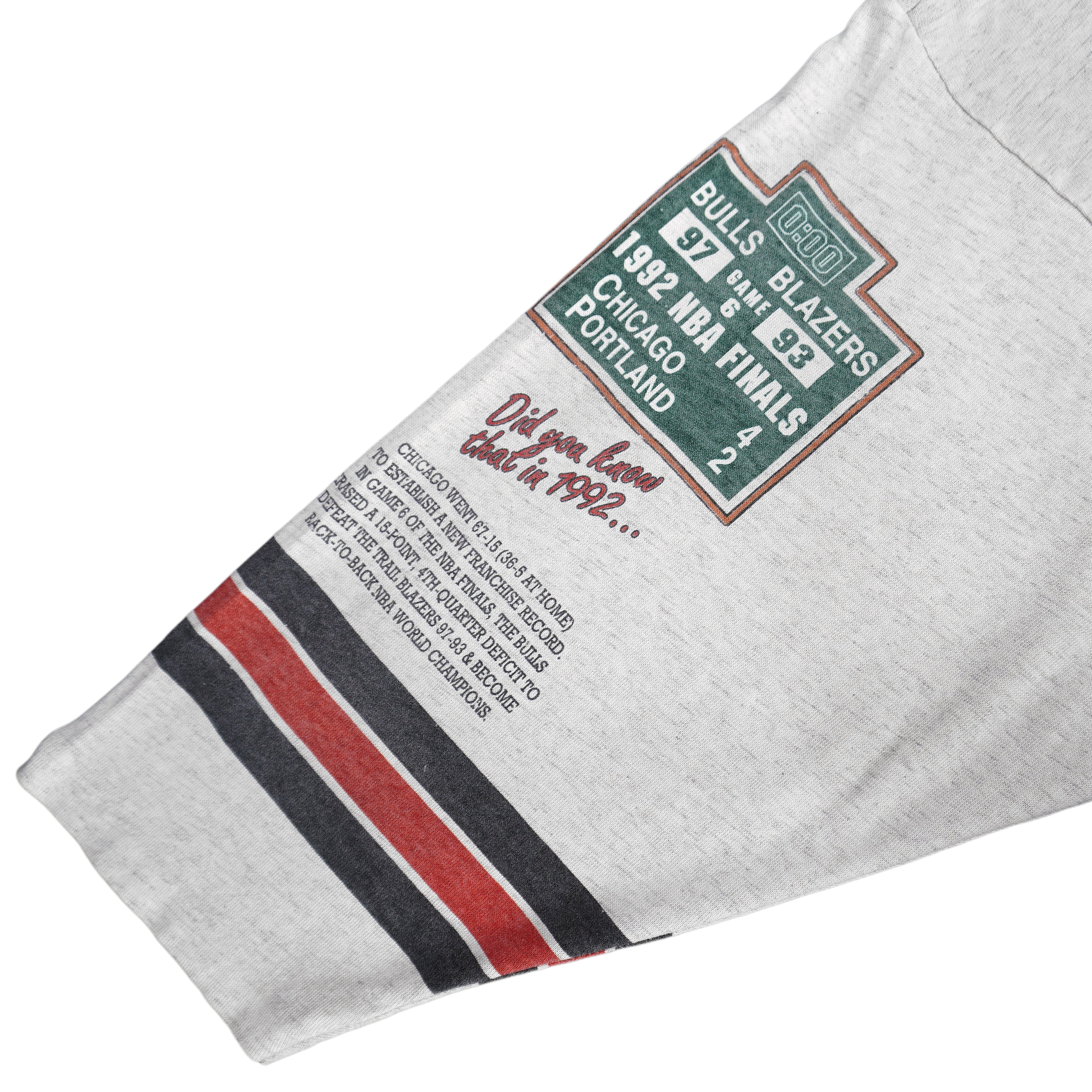 NBA (Long Gone) - Chicago Bulls NBA World Champions T-Shirt 1993 Large Vintage Retro Basketball