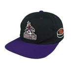 NHL (The G Cap) - Phoenix Coyotes Embroidered Strapback Hat 1990s OSFA Vintage Retro Hockey