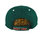 NHL (Twins) - Minnesota Wild Strapback Hat 1990s OSFA Vintage Retro Hockey