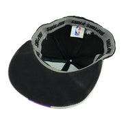 NBA - Toronto Raptors, Vince Carter #15 Embroidered Adjustable Hat 1990s Vintage Retro Basketball