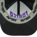 NBA - Toronto Raptors, Vince Carter #15 Embroidered Adjustable Hat 1990s Vintage Retro Basketball