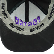 NBA - Toronto Raptors, Vince Carter #15 Embroidered Adjustable Hat 1990s Vintage Retro Basketball