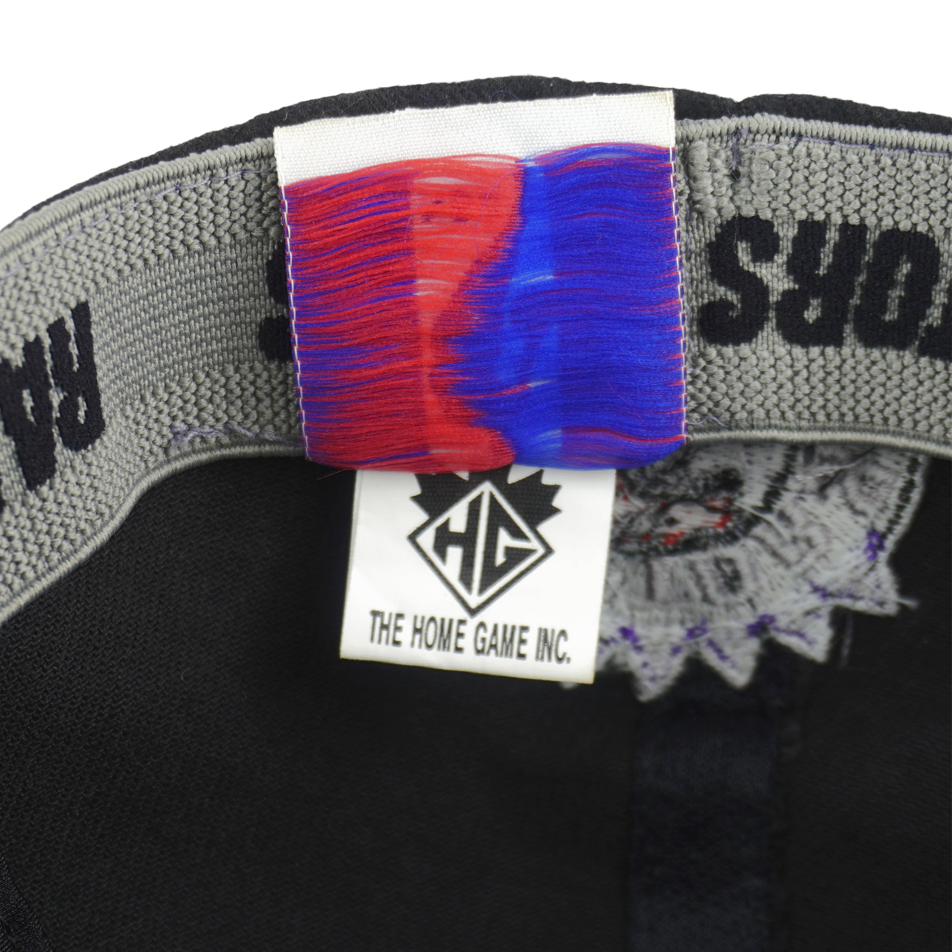 NBA - Toronto Raptors, Vince Carter #15 Embroidered Adjustable Hat 1990s Vintage Retro Basketball