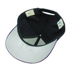 MLB (Logo 7) - Tampa Bay Devil Rays Embroidered Snapback Hat 1990s OSFA Vintage Retro Baseball