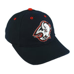NHL (Logo Athletic) - Buffalo Sabres Embroidered Snapback Hat 1990s OSFA Vintage Retro Hockey