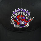 NBA (Annco) - Toronto Raptors Embroidered Snapback Hat 1990s OSFA Vintage Retro Basketball