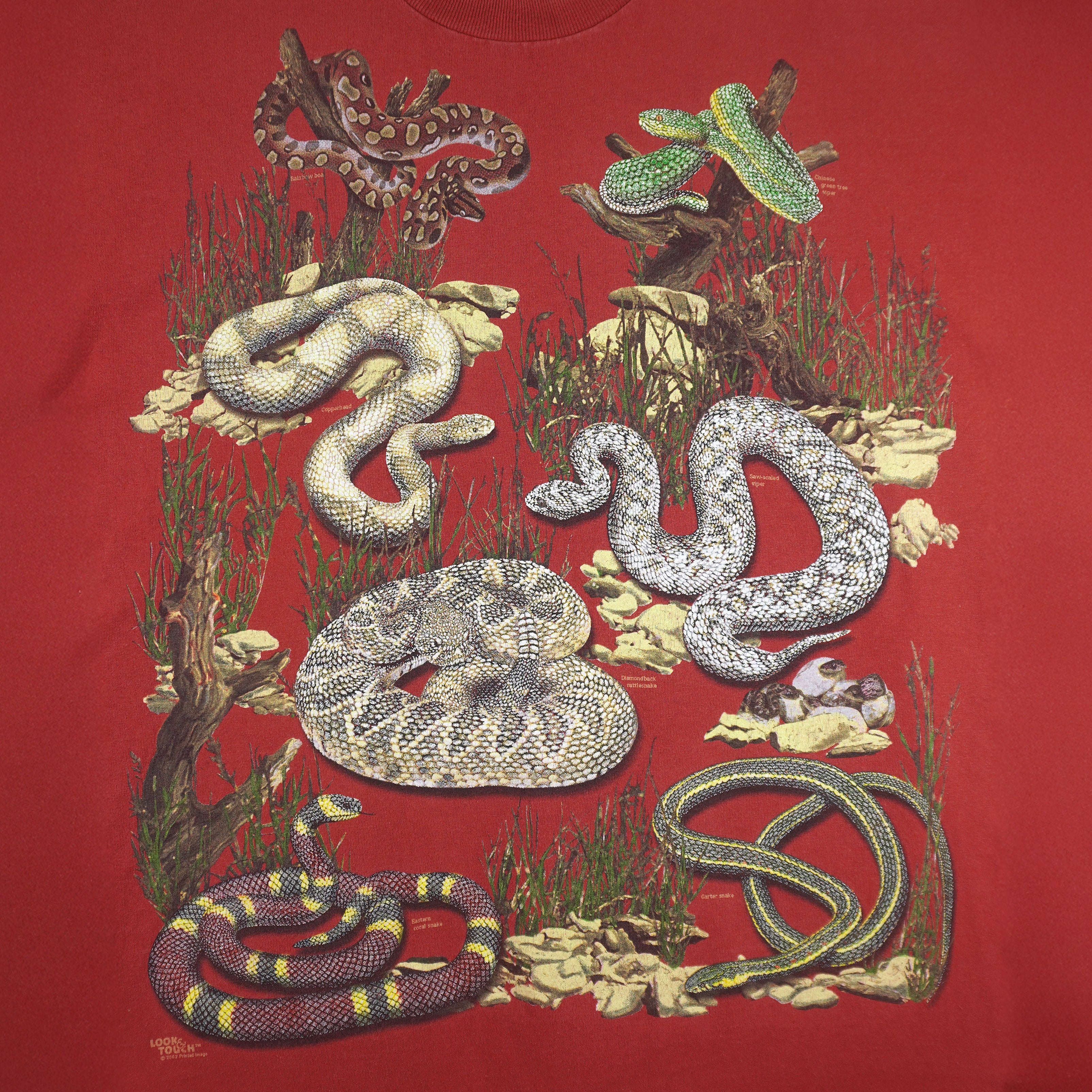 Vintage (Bay Side) - Snake Chihuahuan Desert Research Institute T-Shirt 2002 X-Large Vintage Retro