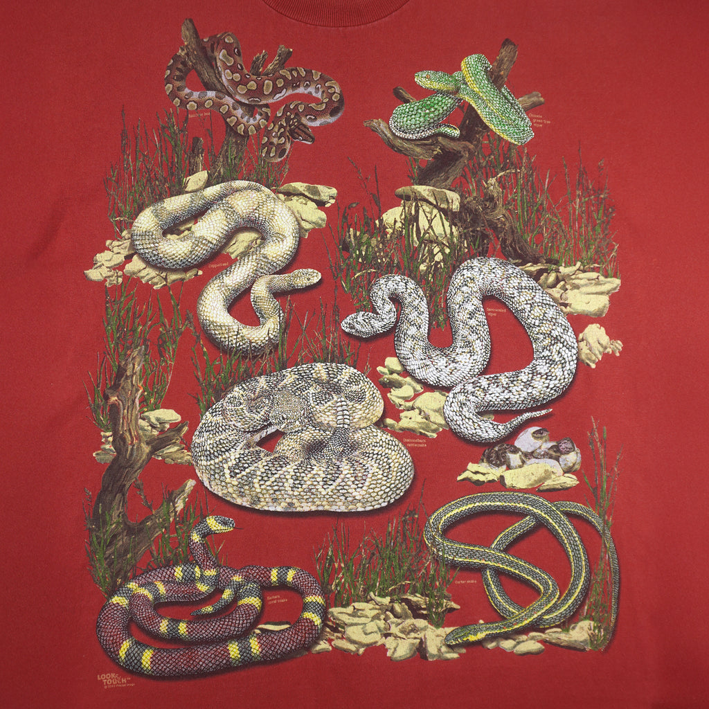 Vintage (Bay Side) - Snake Chihuahuan Desert Research Institute T-Shirt 2002 X-Large Vintage Retro