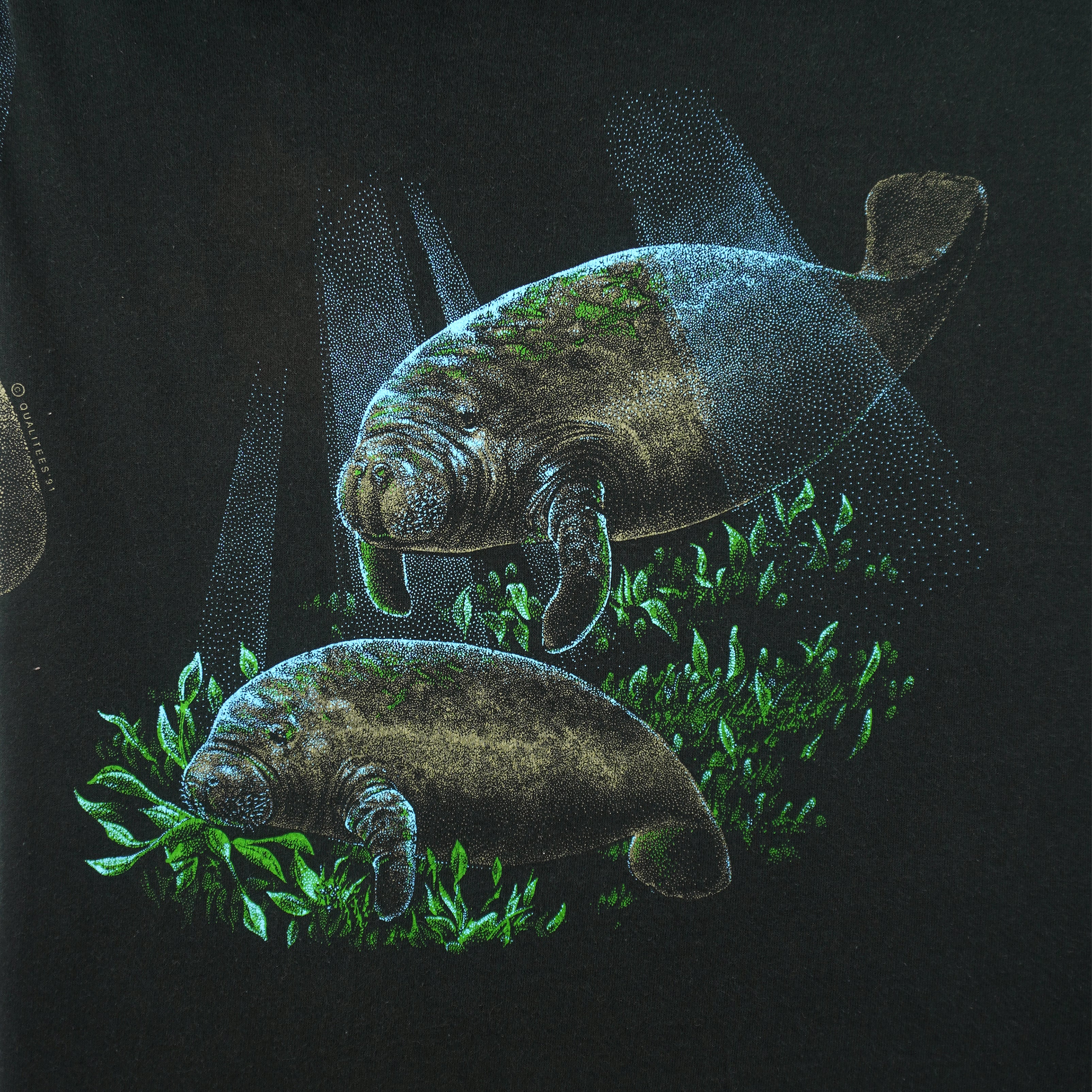 Vintage (Fruit Of The Loom) - Manatee Cocoa Beach T-Shirt 1991 Large Vintage Retro