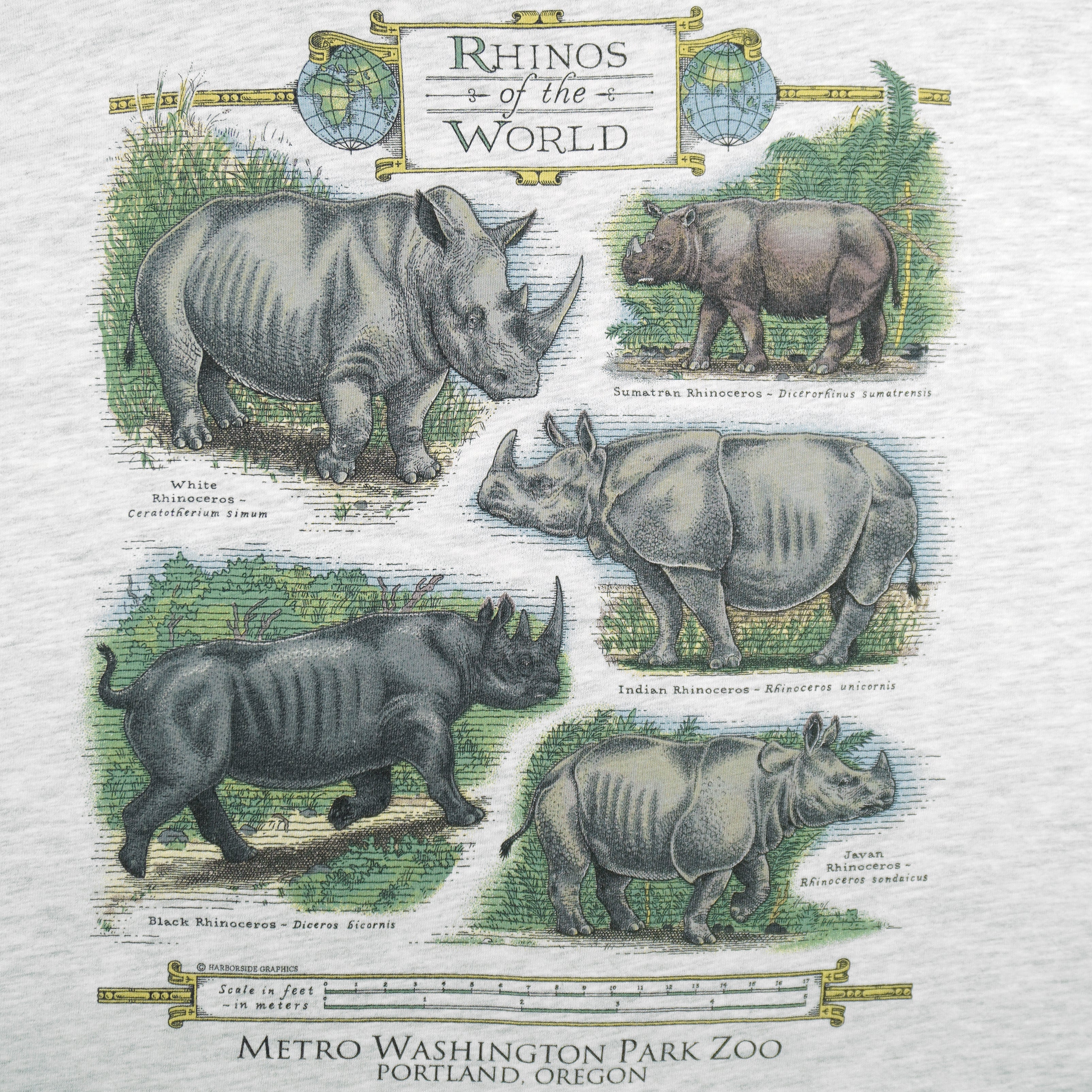 Vintage (Hanes) - Rhinos of the World Educational Animal Print T-Shirt 1990s X-Large Vintage Retro
